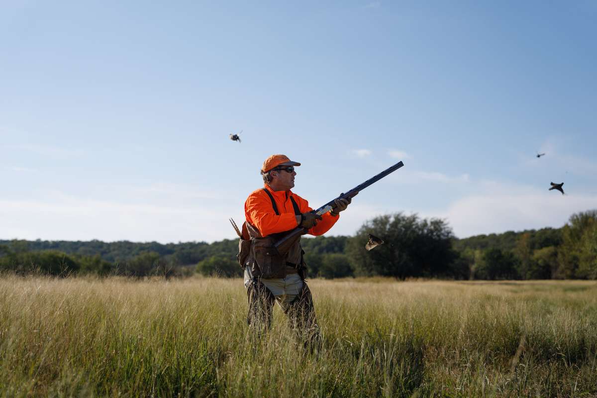 Details Guided Upland Hunts in Central Texas